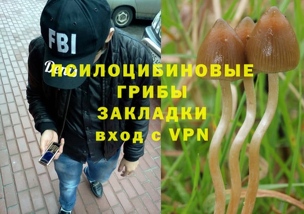 тгк Арсеньев